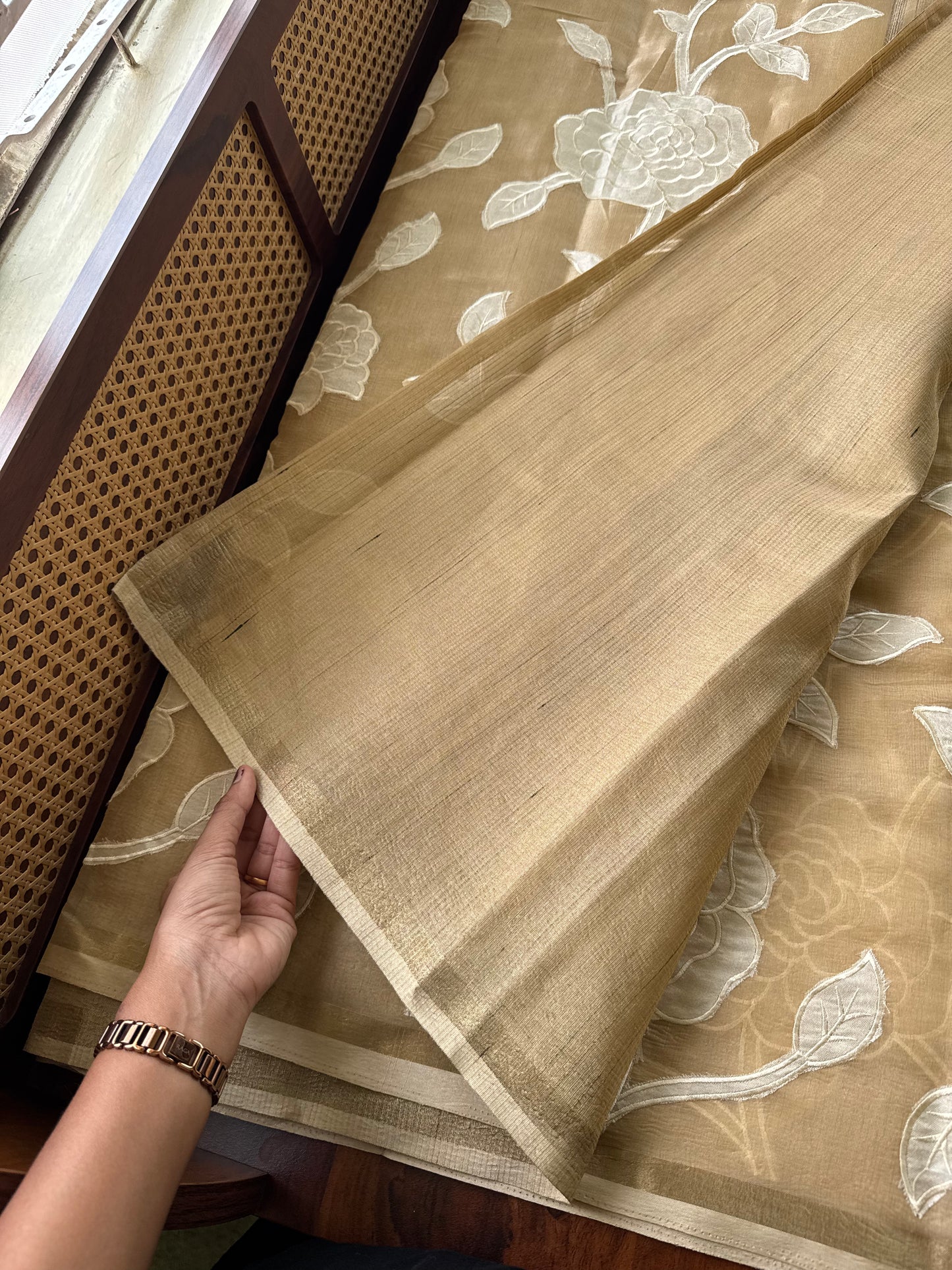 Mul Chanderi Tissue Saree with appliqué - Beige
