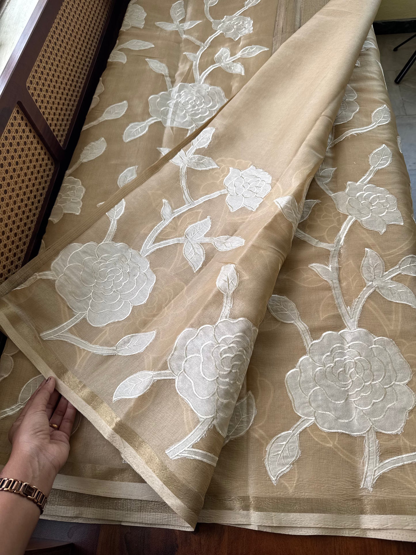 Mul Chanderi Tissue Saree with appliqué - Beige