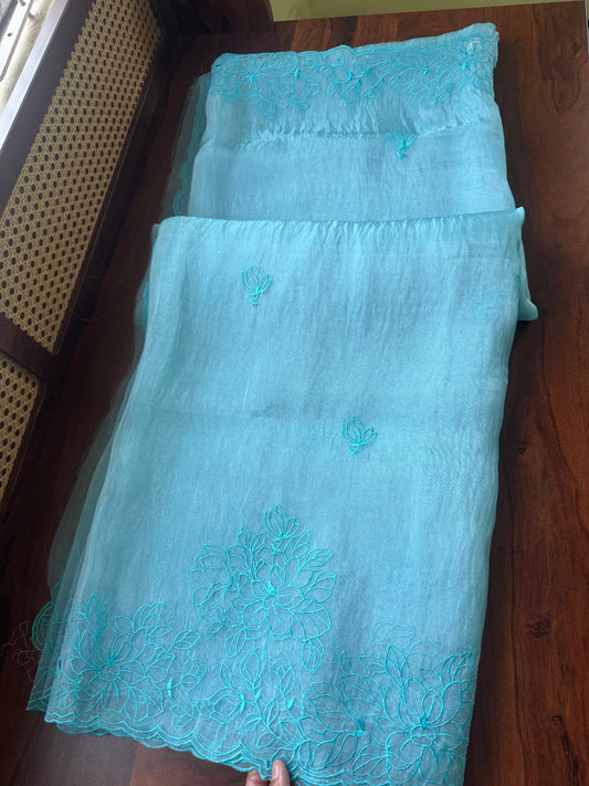 Tissue Organza Saree - Blue