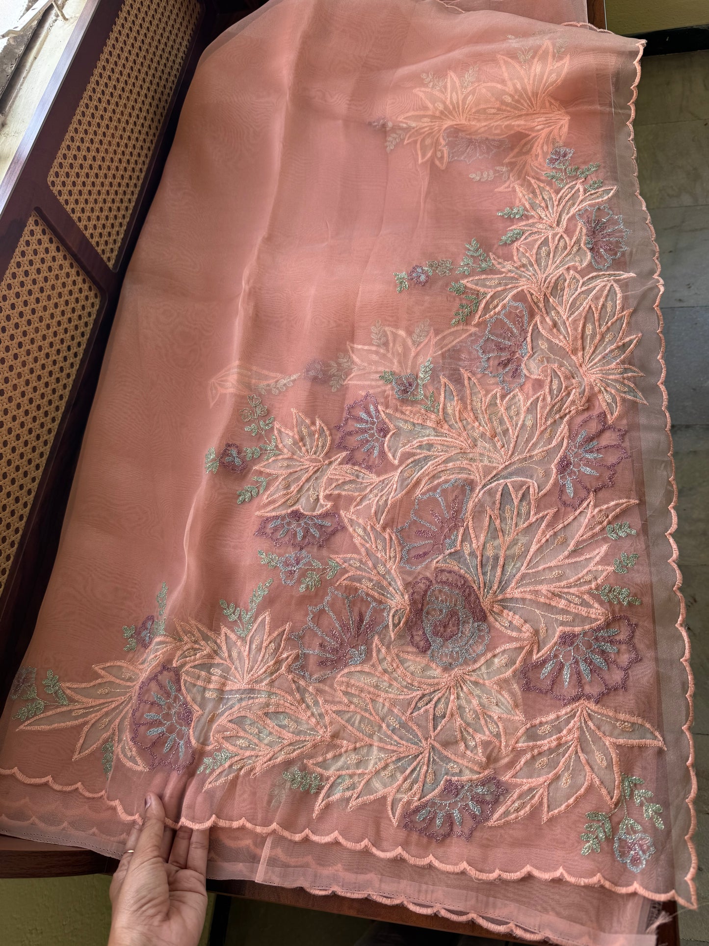 Tissue Organza Saree with appliqué work - Peach