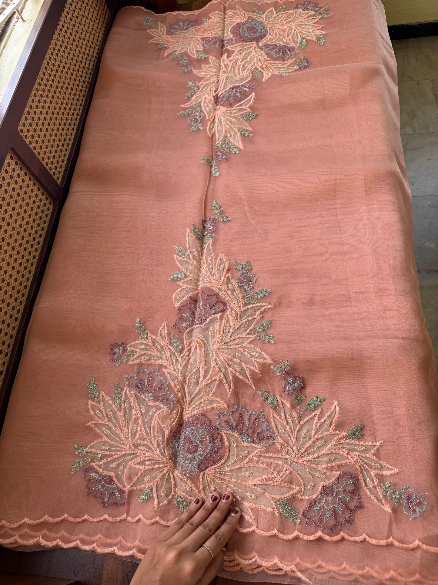 Tissue Organza Saree with appliqué work - Peach