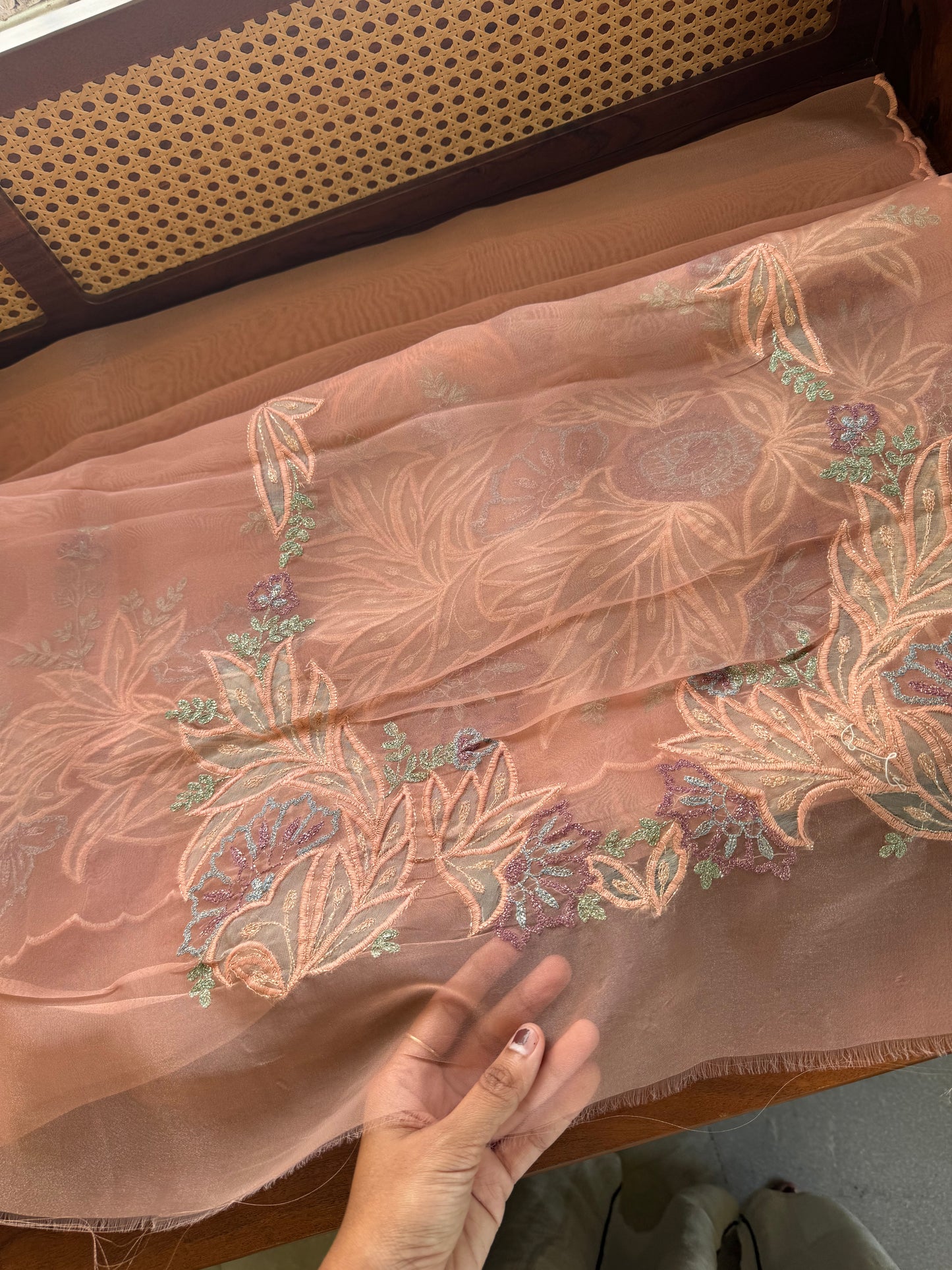Tissue Organza Saree with appliqué work - Peach
