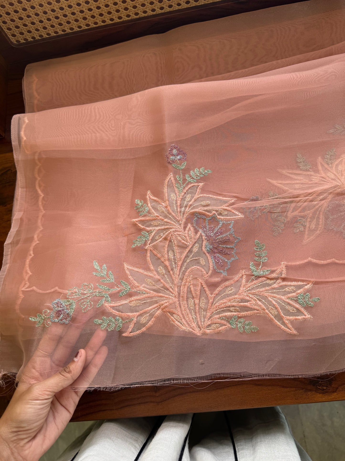 Tissue Organza Saree with appliqué work - Peach
