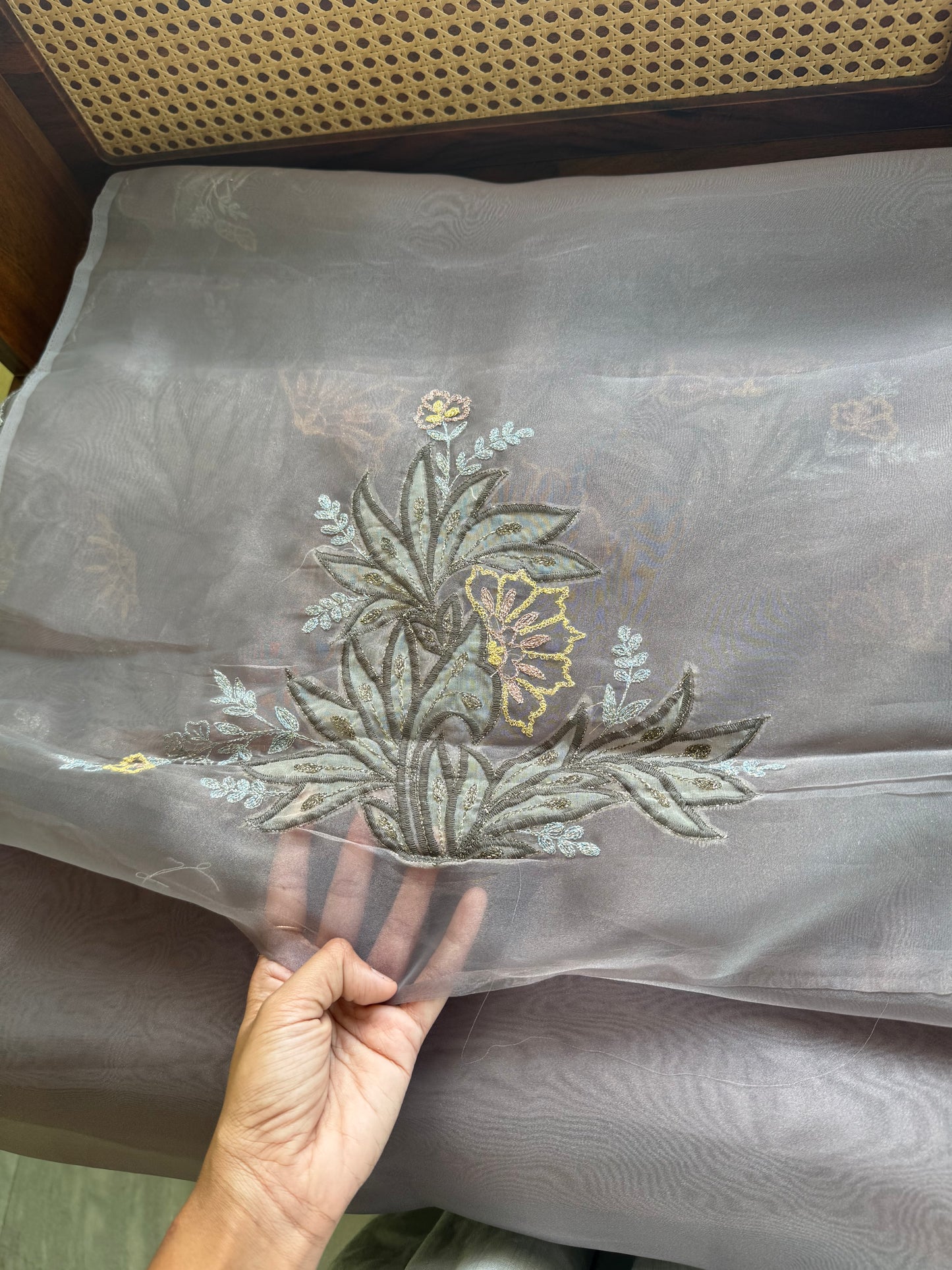 Tissue Organza Saree with appliqué work - Greyish Green