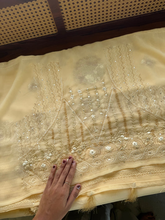 Georgette hand embroidery saree with heavy blouse - Pastel Beige