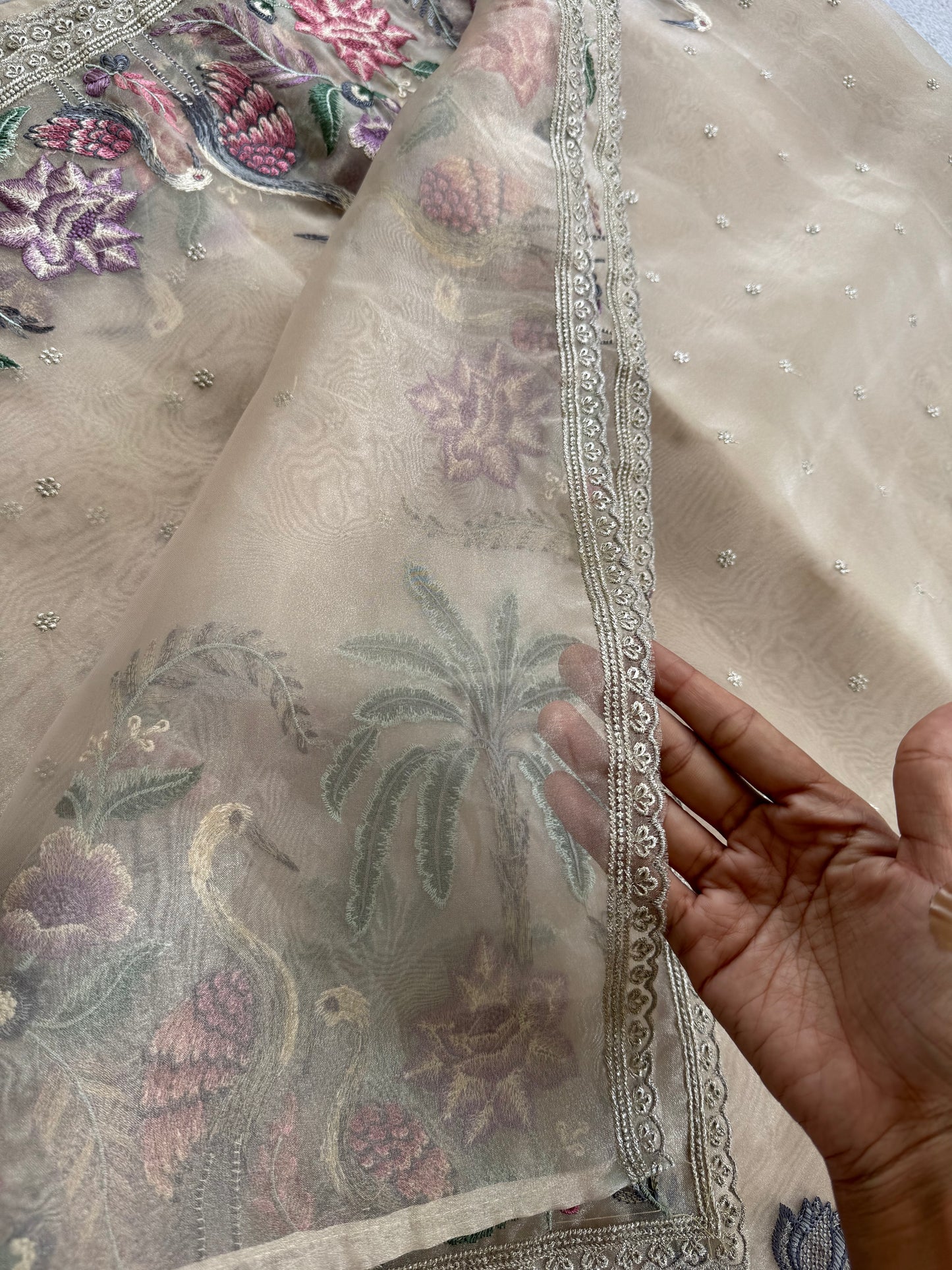 Luxe Tissue Organza Saree - Beige Golden