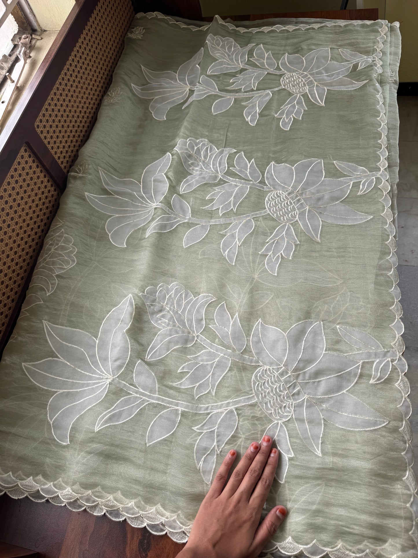 Delicate Tissue Organza Saree with appliqué - Pastel Green