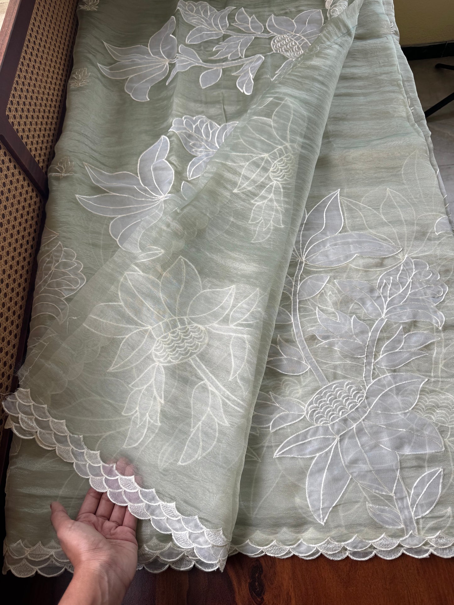 Delicate Tissue Organza Saree with appliqué - Pastel Green