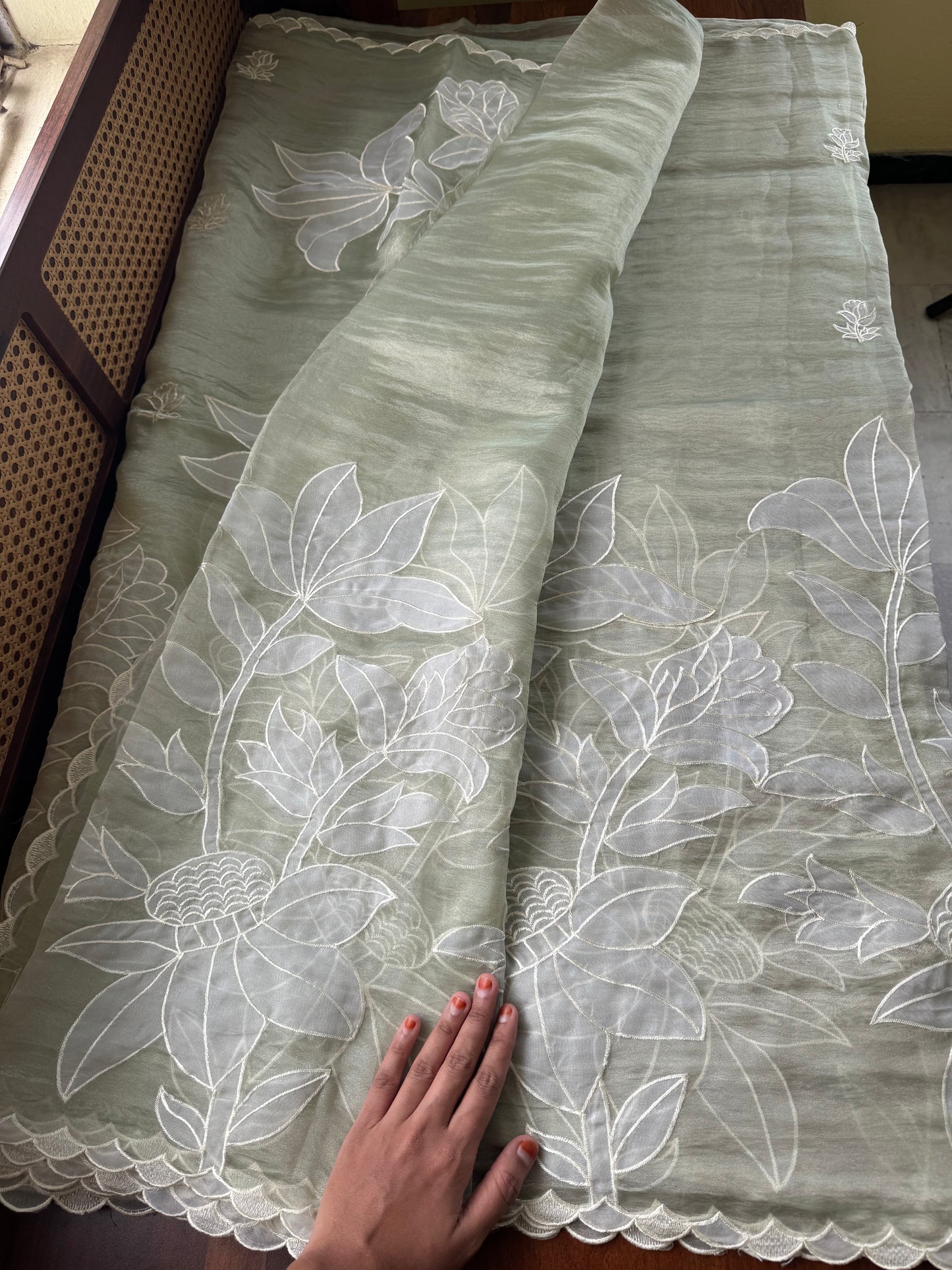 Delicate Tissue Organza Saree with appliqué - Pastel Green