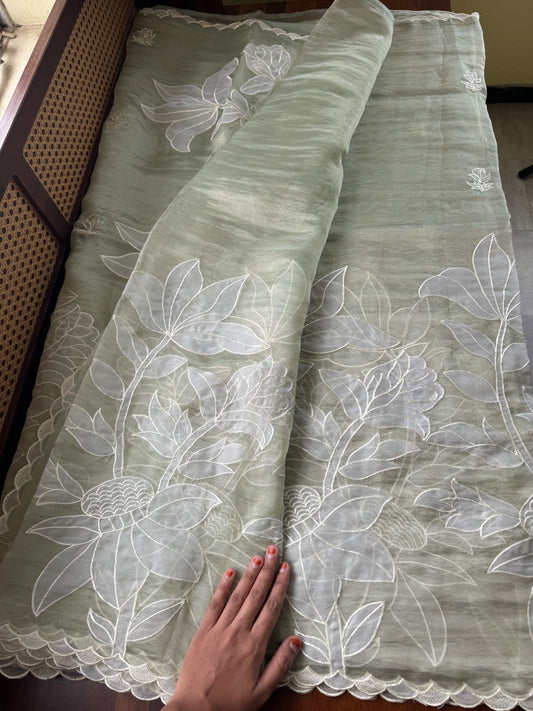 Delicate Tissue Organza Saree with appliqué - Pastel Green