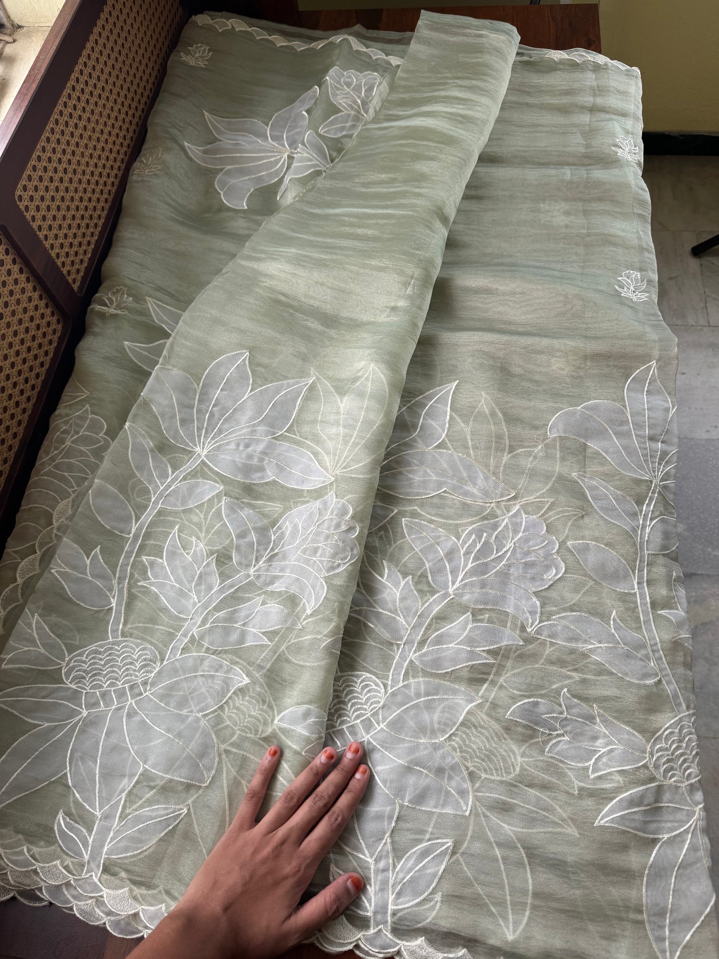 Delicate Tissue Organza Saree with appliqué - Pastel Green