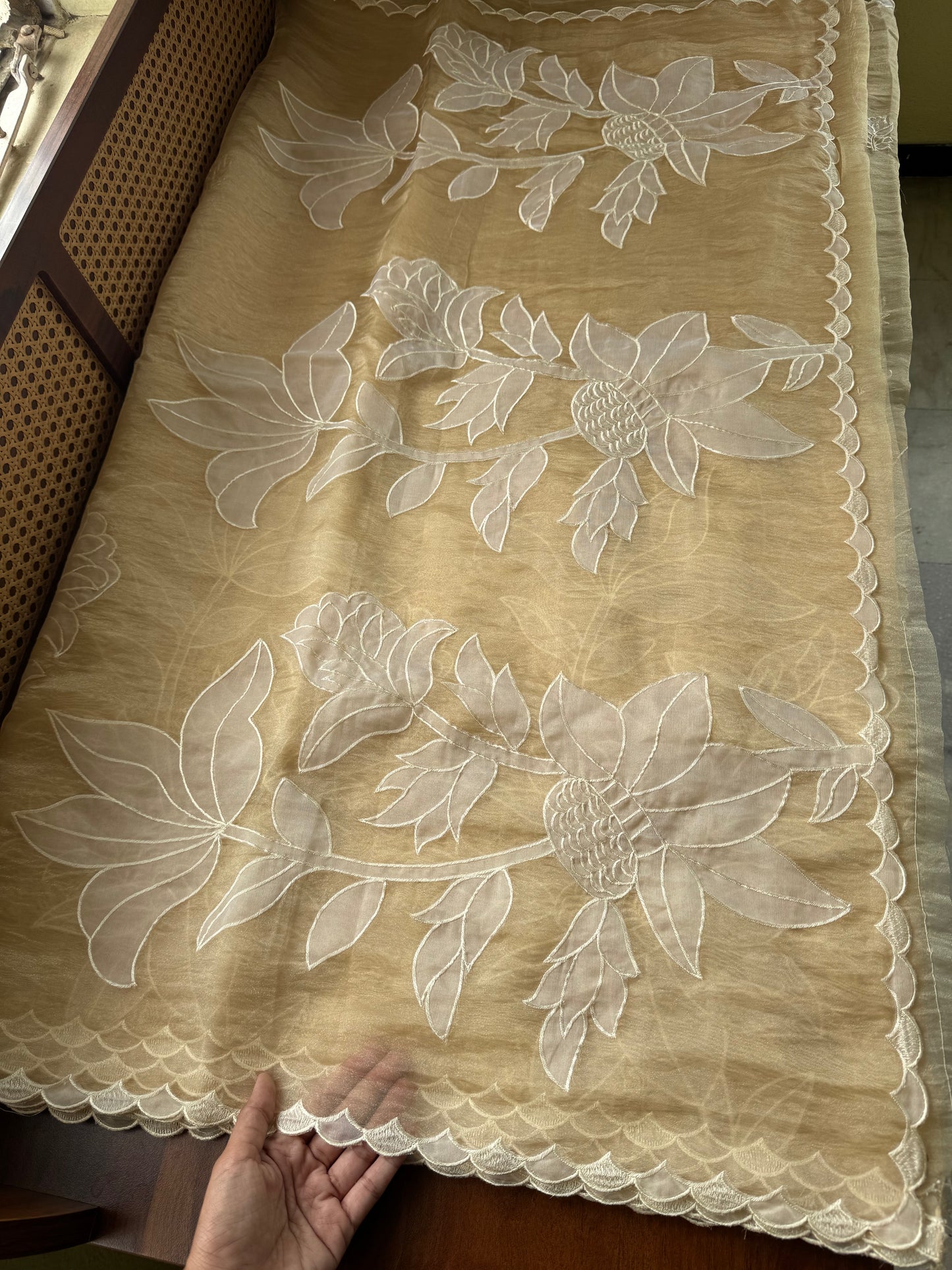 Delicate Tissue Organza Saree with appliqué - Yellow