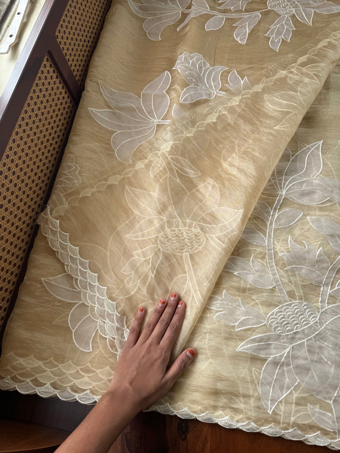 Delicate Tissue Organza Saree with appliqué - Yellow