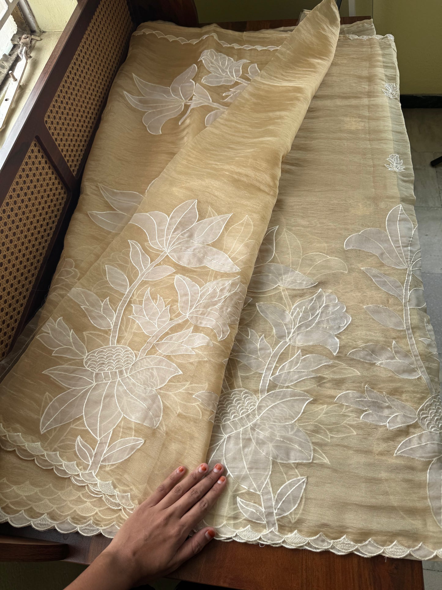 Delicate Tissue Organza Saree with appliqué - Yellow