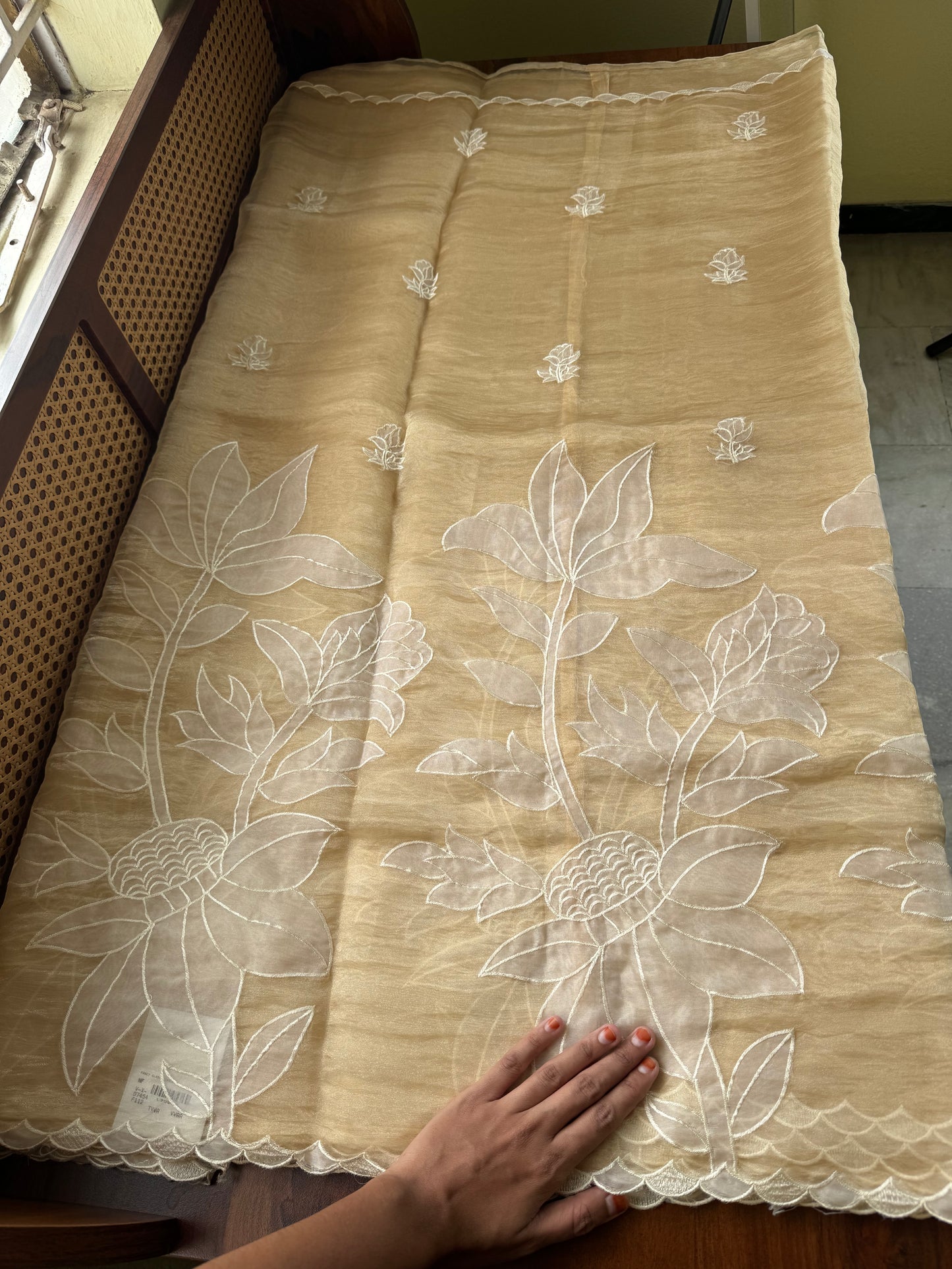 Delicate Tissue Organza Saree with appliqué - Yellow