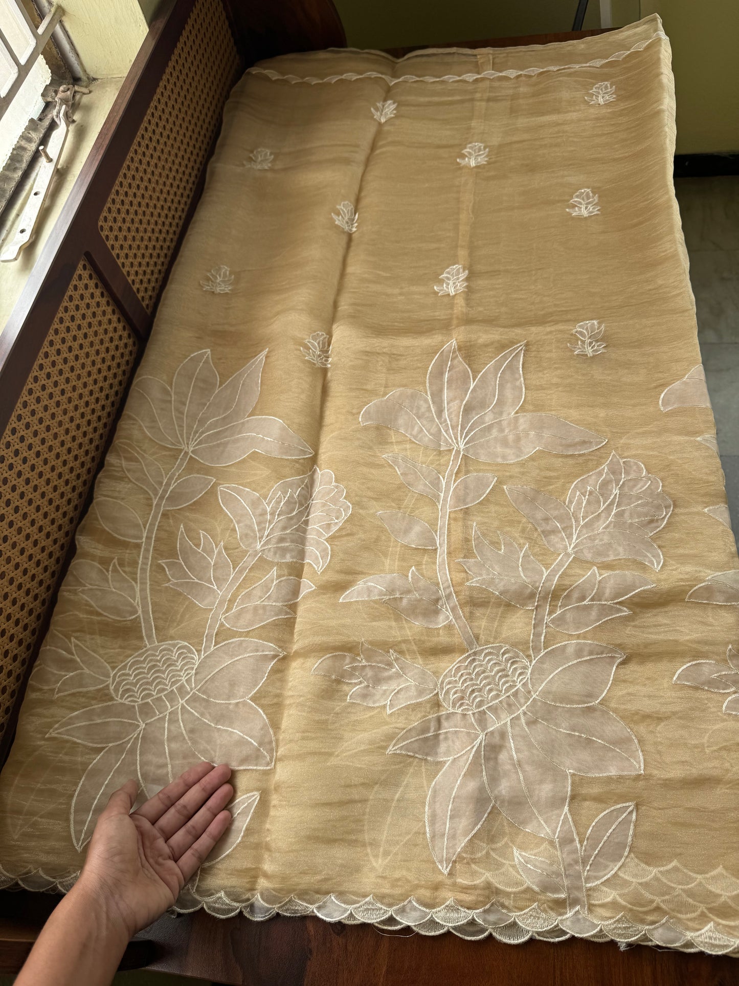 Delicate Tissue Organza Saree with appliqué - Yellow