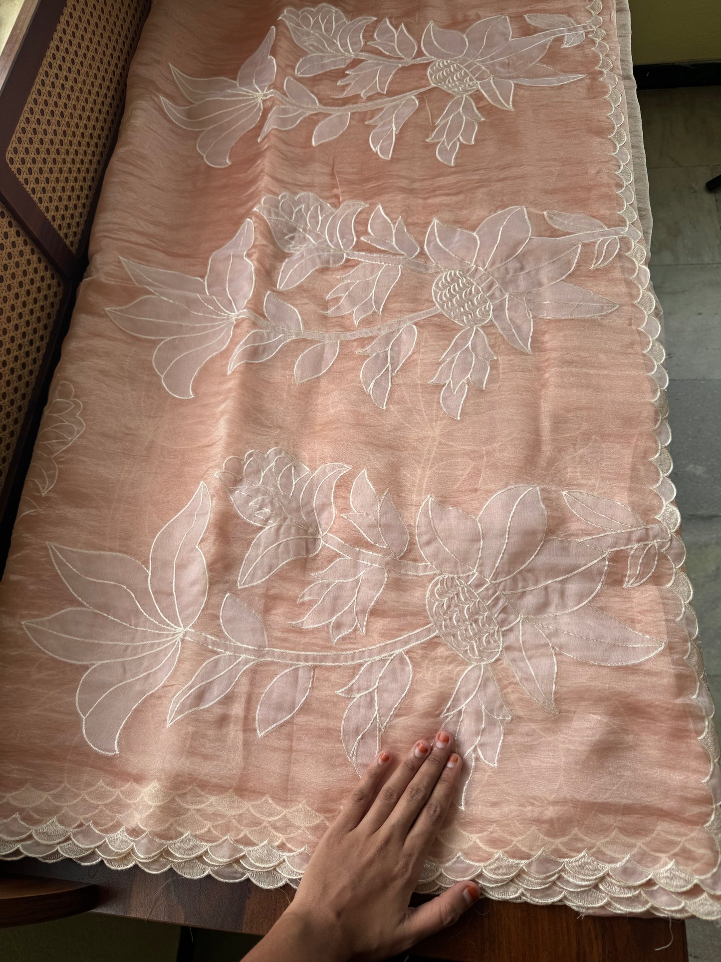 Delicate Tissue Organza Saree with appliqué - Peach