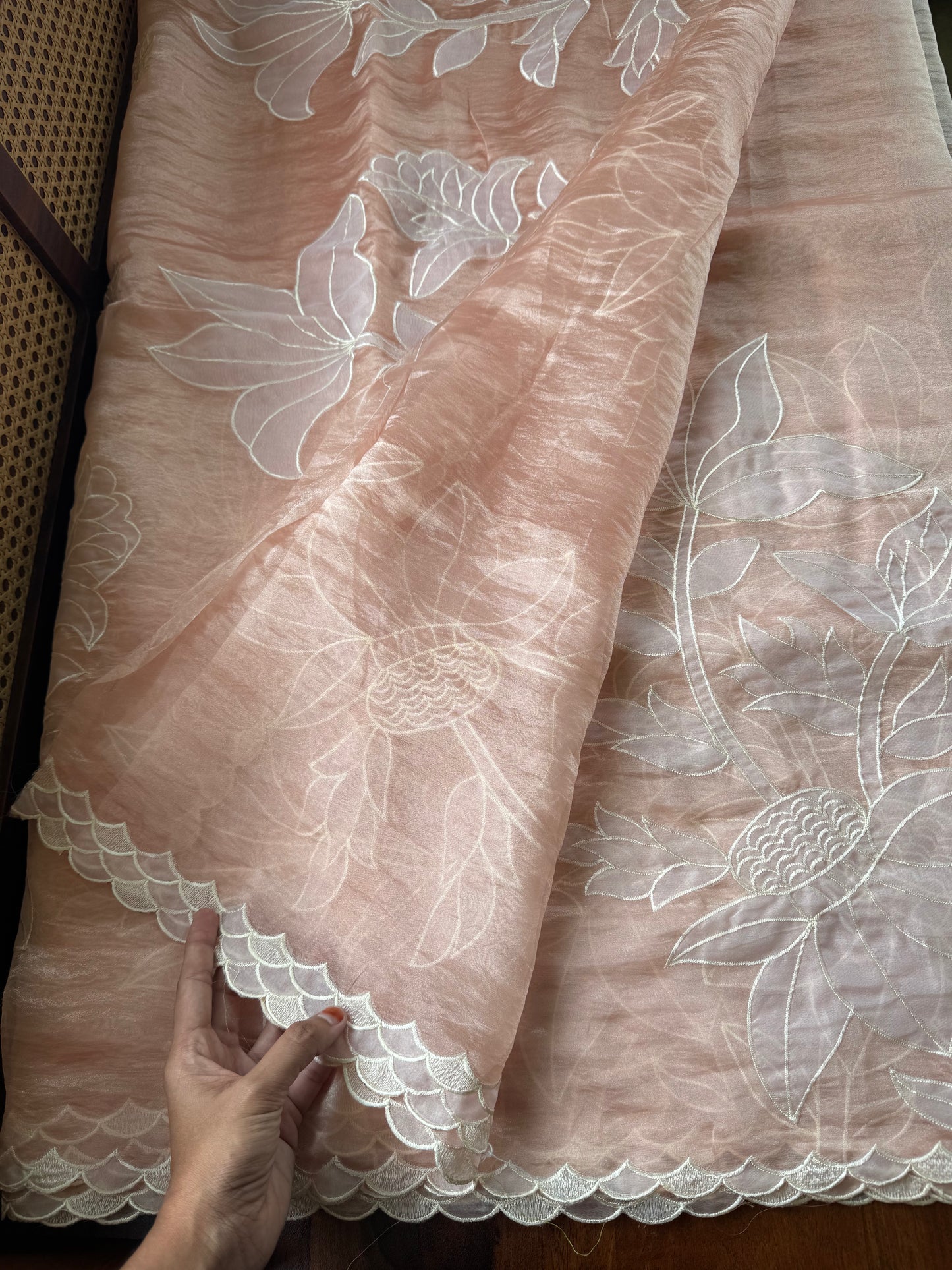 Delicate Tissue Organza Saree with appliqué - Peach