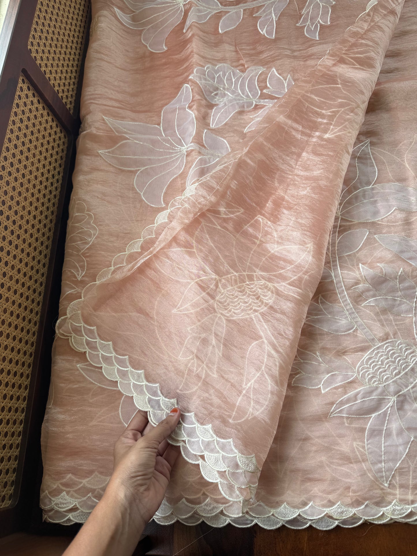 Delicate Tissue Organza Saree with appliqué - Peach