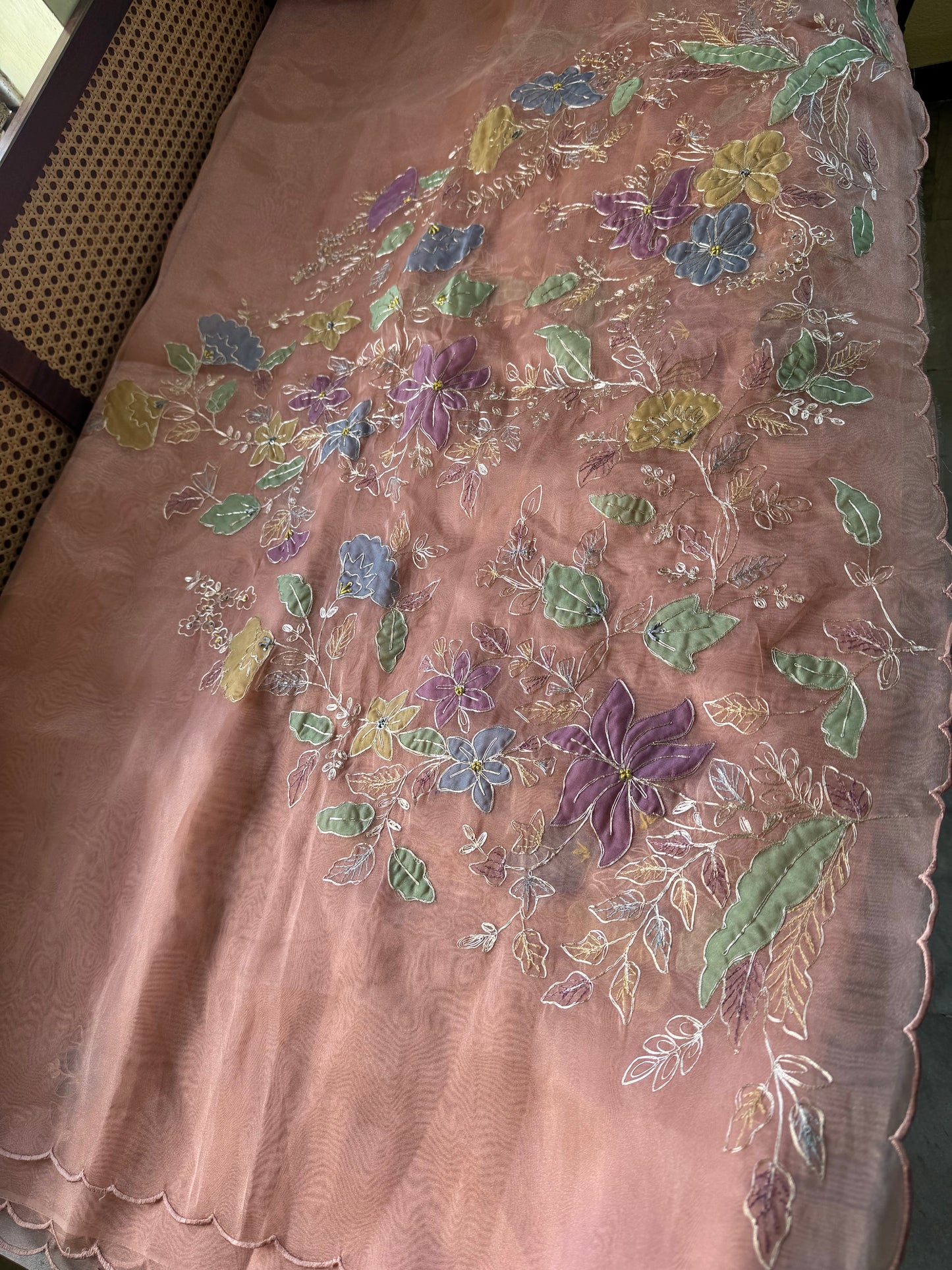 Tissue Organza Saree with appliqué work - Peach