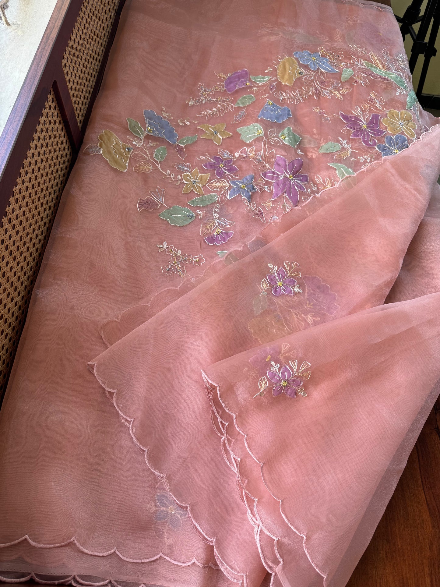 Tissue Organza Saree with appliqué work - Peach