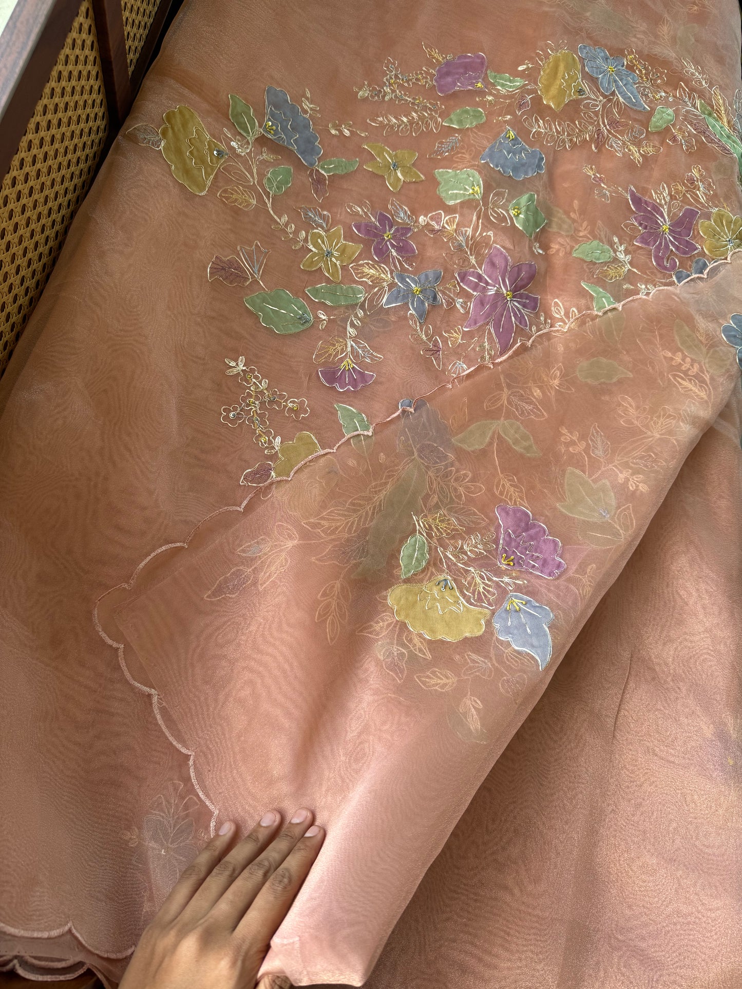 Tissue Organza Saree with appliqué work - Peach