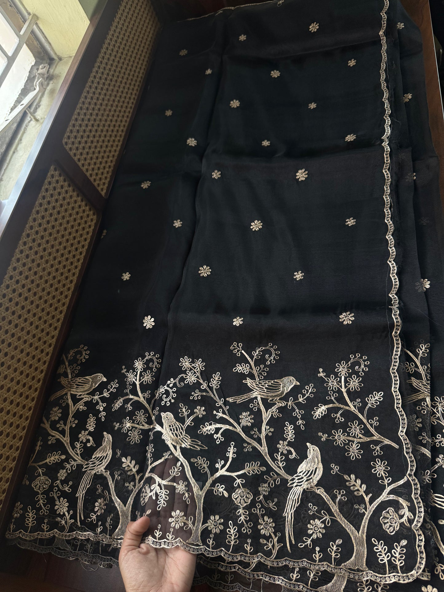 Tissue Organza Saree with pita work - Black