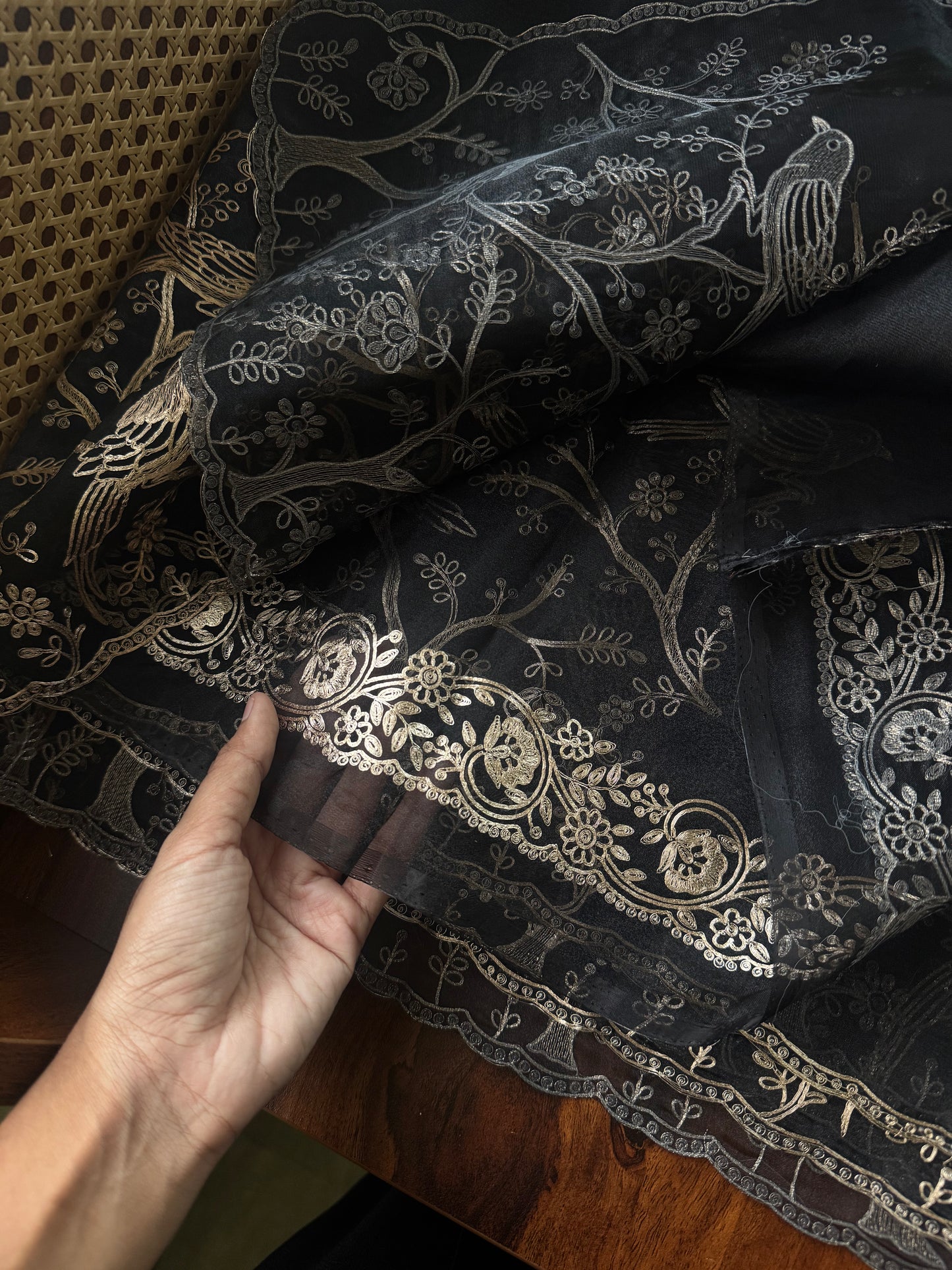 Tissue Organza Saree with pita work - Black