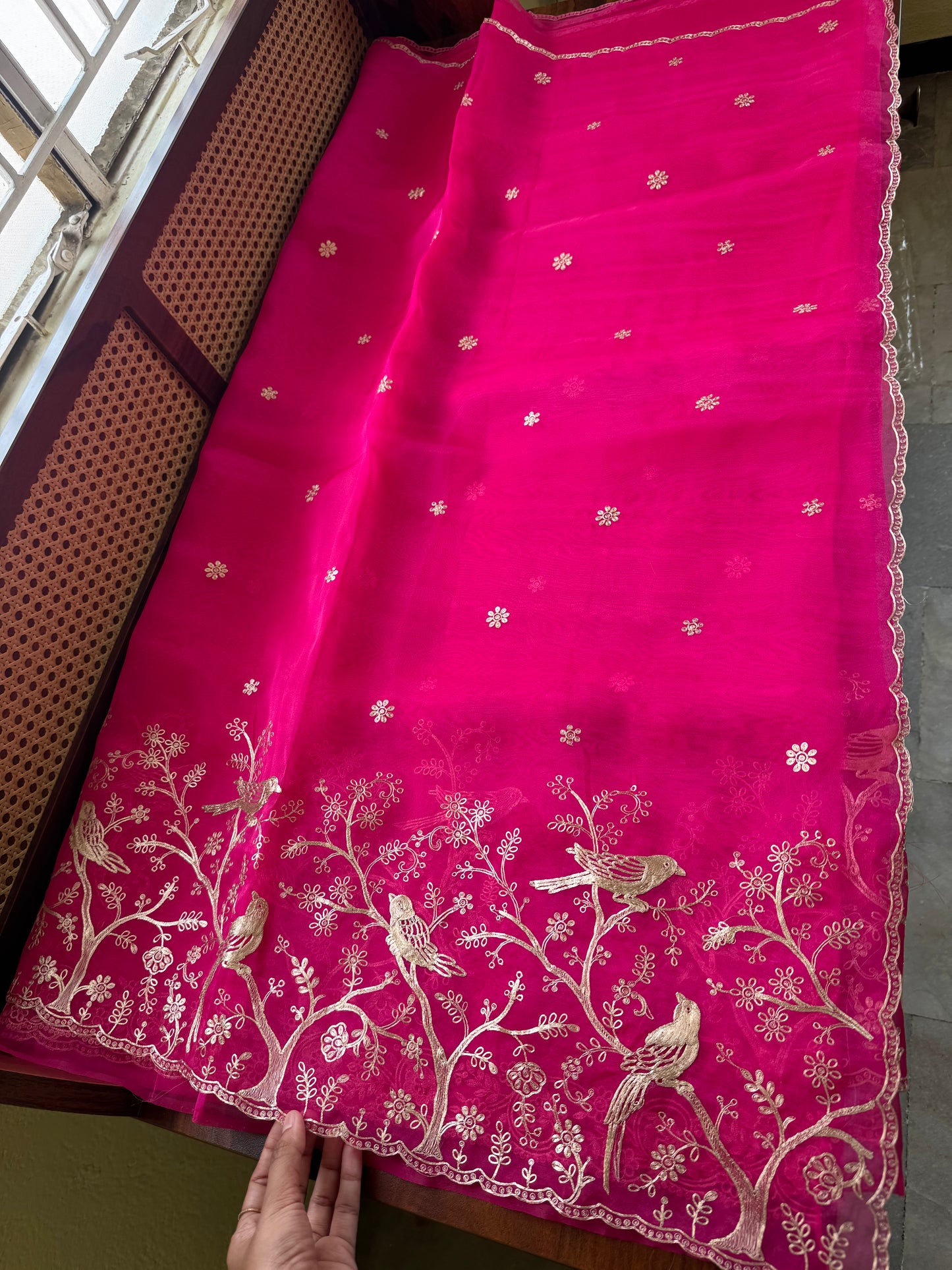 Tissue Organza Saree with pita work - Hot Pink